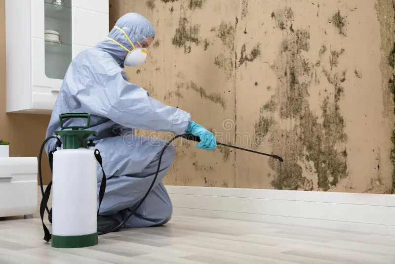 Bed Bug control at Home